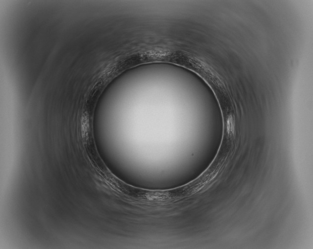 X0000116561299200912171401