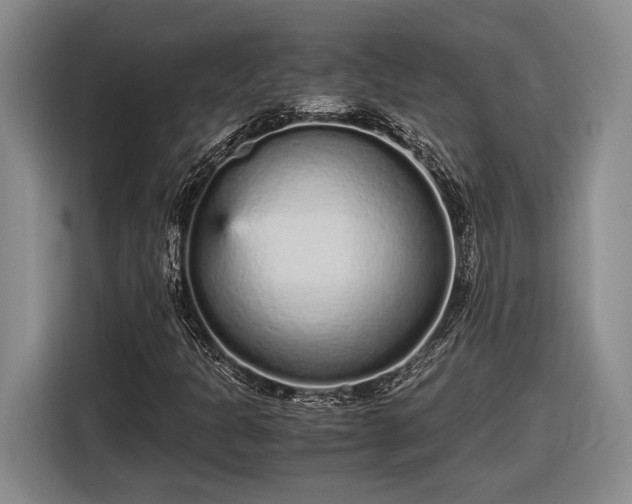 X0000116561301200912171401