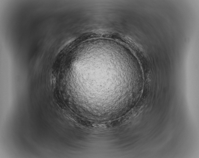 X0000116561302200912171401