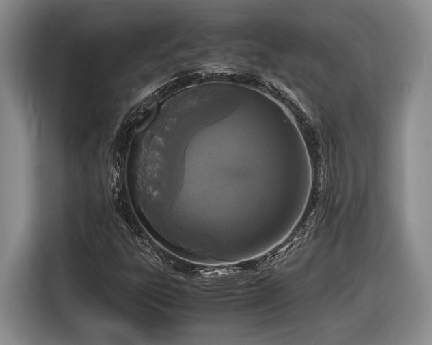 X0000116561303200912171401