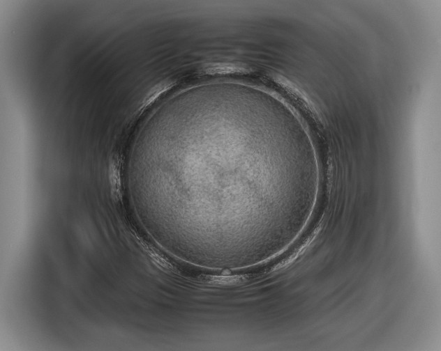 X0000116561305200912171401