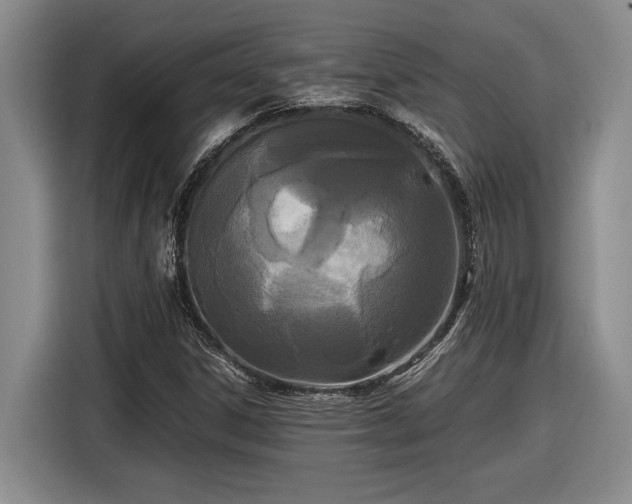 X0000116561306200912171401