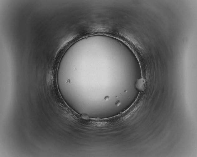 X0000116561309200912171401