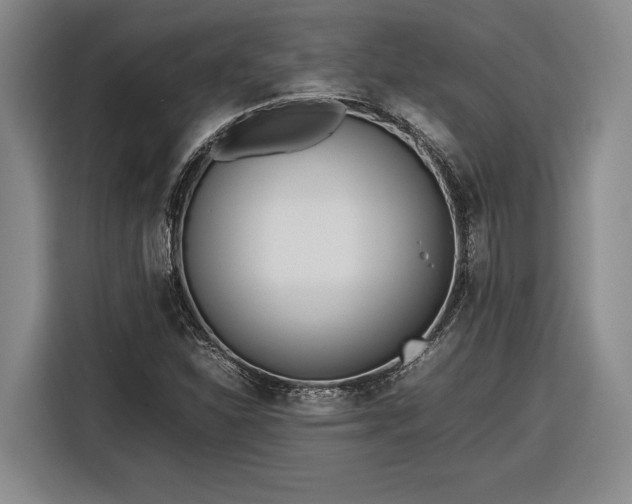 X0000116561310200912171401