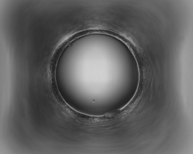 X0000116561311200912171401