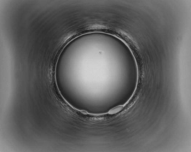 X0000116561313200912171401