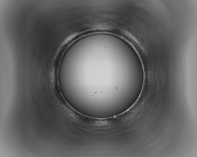 X0000116561315200912171401