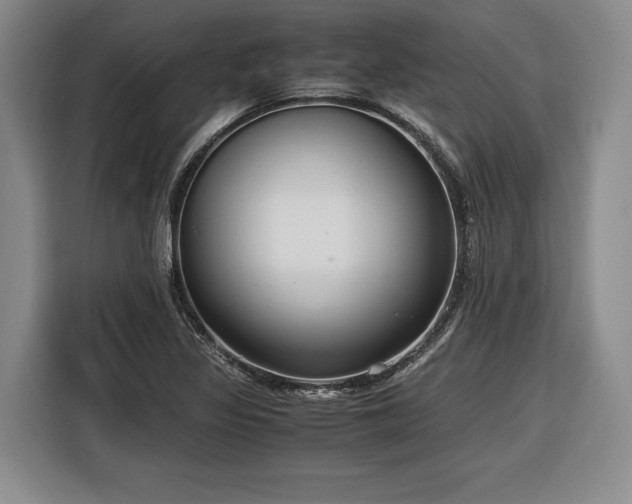 X0000116561317200912171401