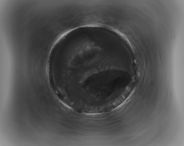 X0000116561319200912171401