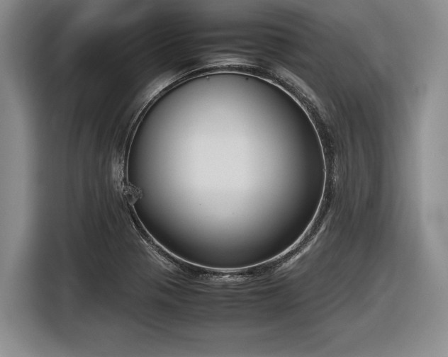 X0000116561321200912171401