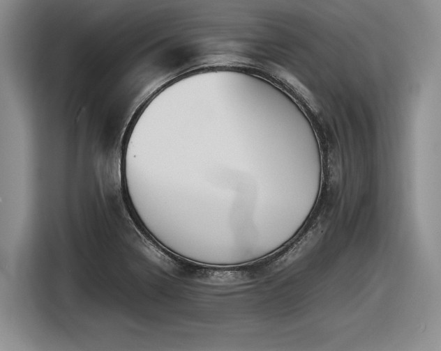 X0000116561322200912171401