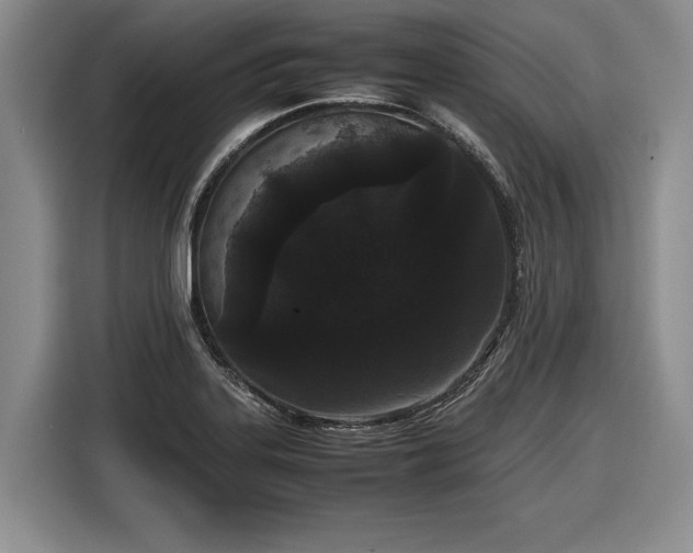 X0000116561323200912171401