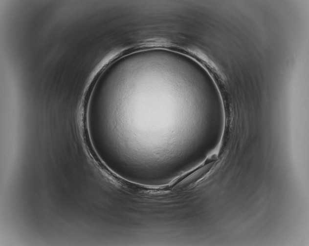 X0000116561325200912171401