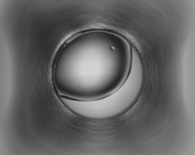 X0000116561326200912171401