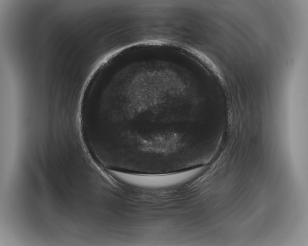 X0000116561327200912171401