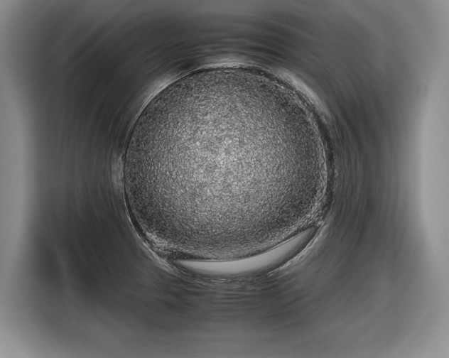 X0000116561329200912171401