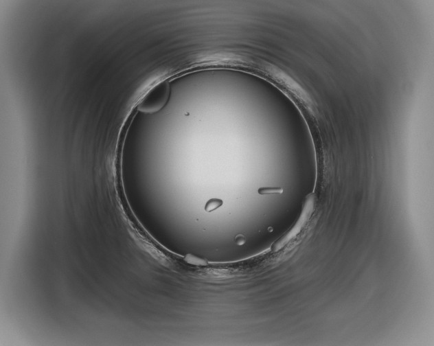 X0000116561330200912171401