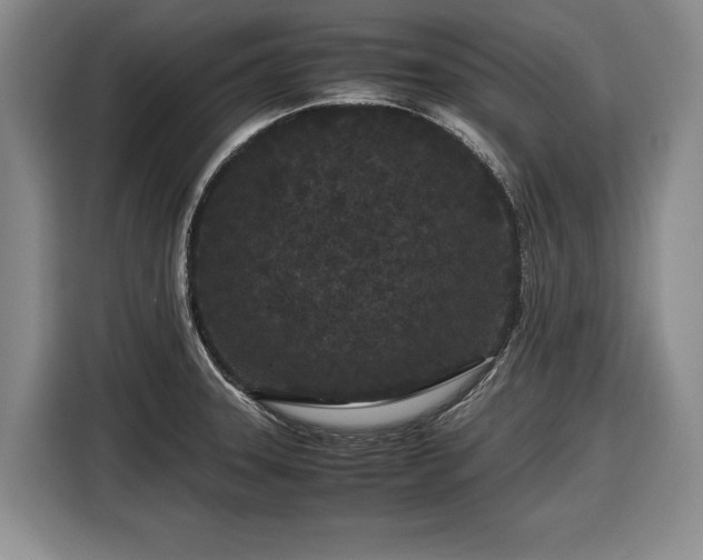 X0000116561331200912171401