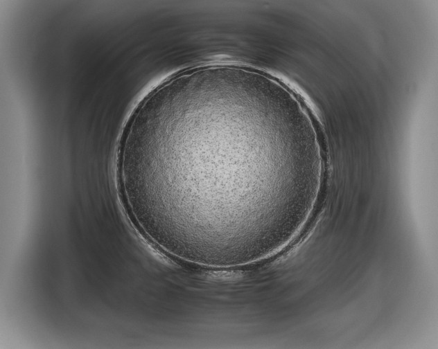 X0000116561333200912171401