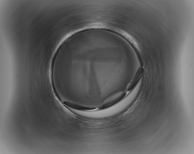 X0000116561334200912171401