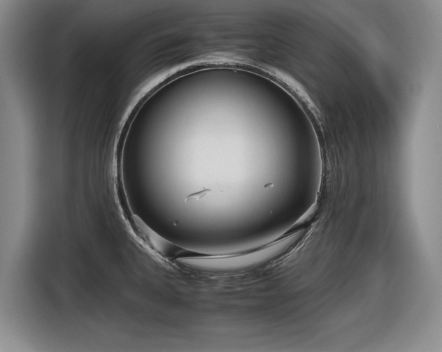 X0000116561335200912171401