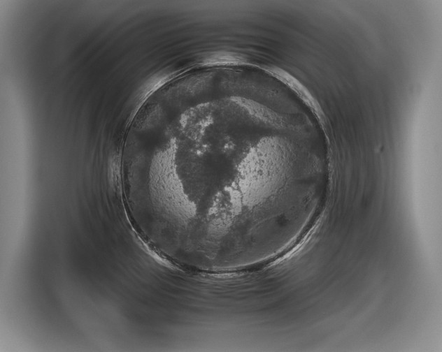 X0000116561337200912171401