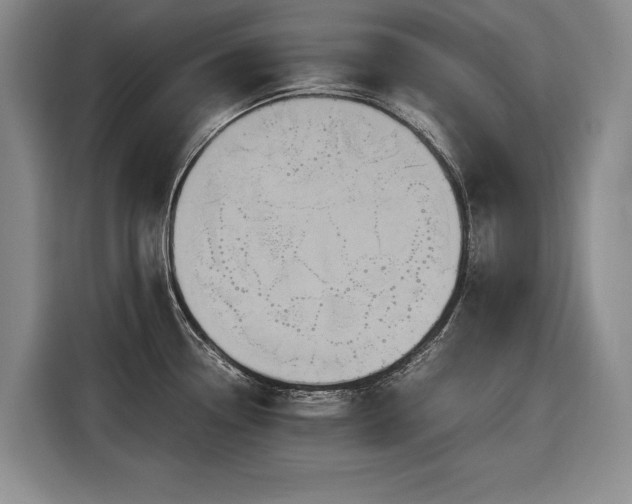 X0000116561338200912171402