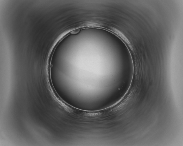 X0000116561339200912171402