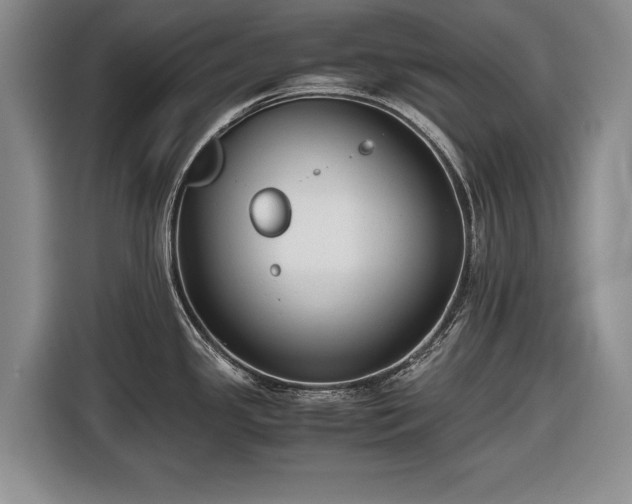 X0000116561341200912171402