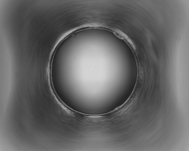 X0000116561343200912171402