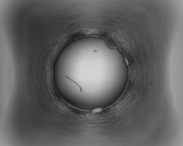 X0000116561345200912171401