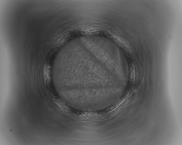 X0000116561346200912171401