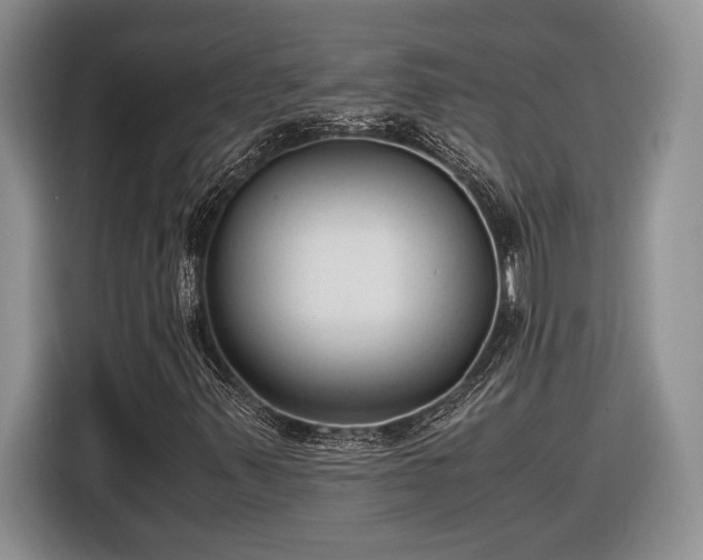 X0000116561347200912171401