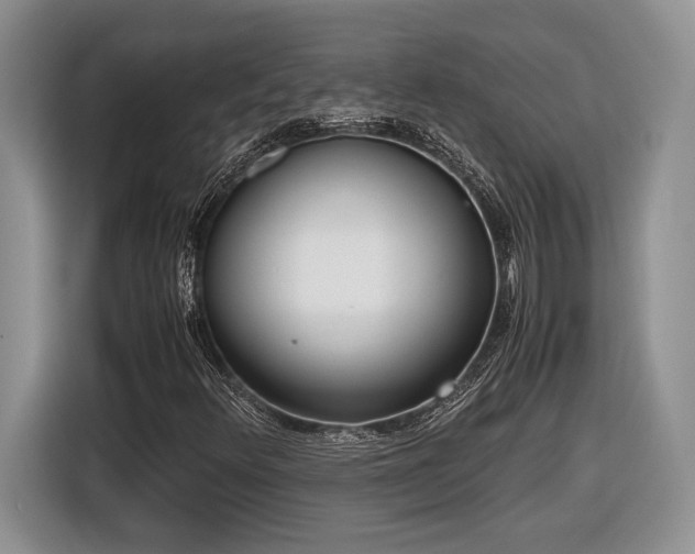 X0000116561348200912171401