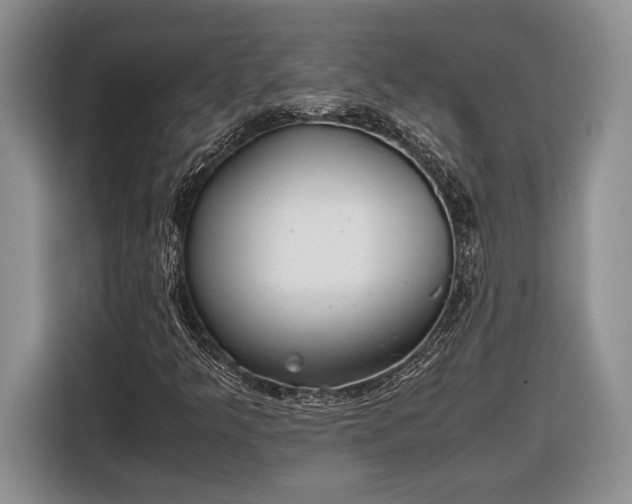 X0000116561349200912171401