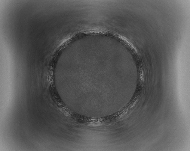 X0000116561350200912171401