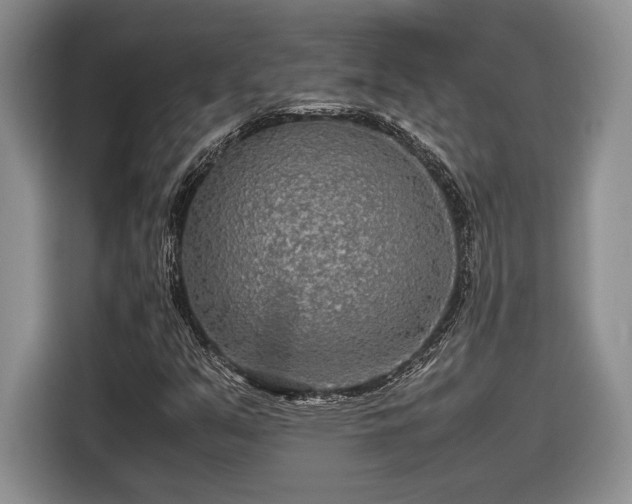 X0000116561351200912171401