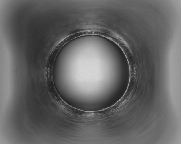 X0000116561352200912171401