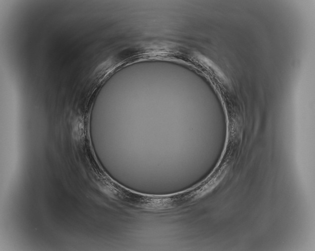 X0000116561353200912171401