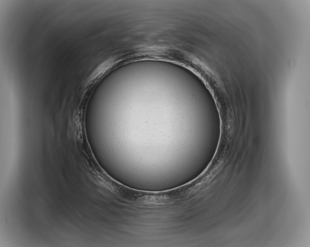 X0000116561354200912171401