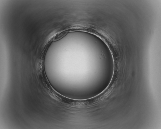 X0000116561355200912171401