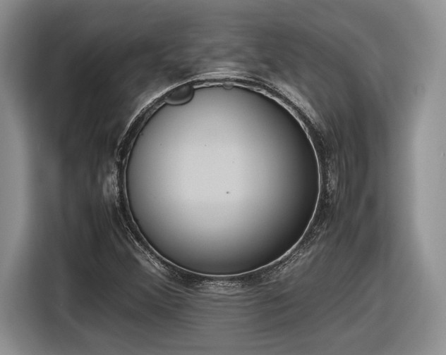 X0000116561356200912171401