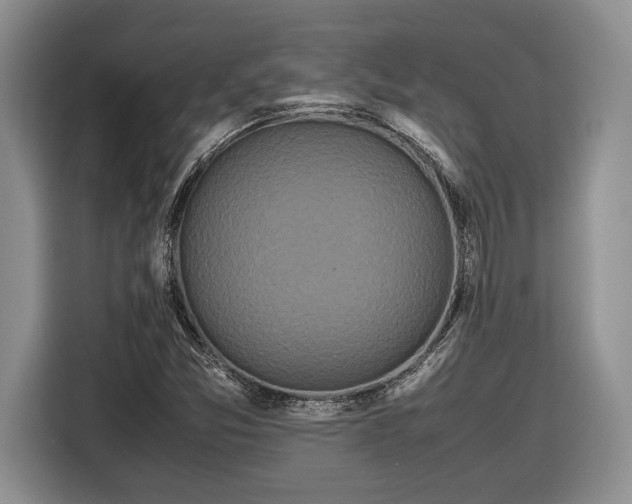 X0000116561357200912171401