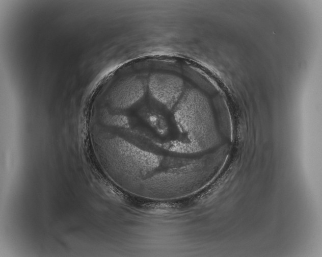 X0000116561359200912171401