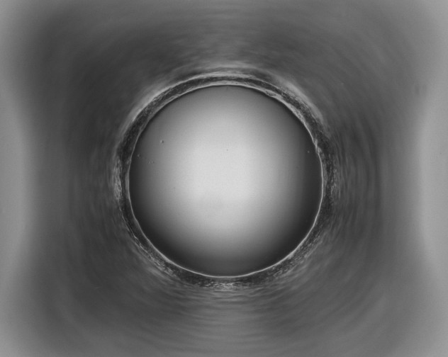 X0000116561360200912171401