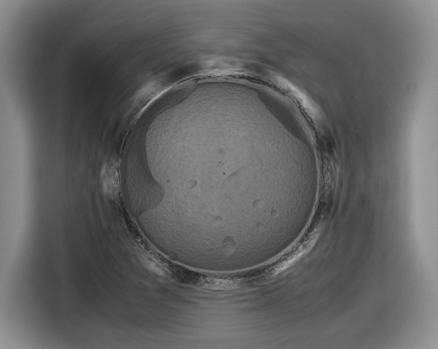 X0000116561361200912171401