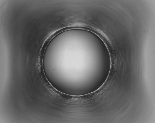 X0000116561364200912171401