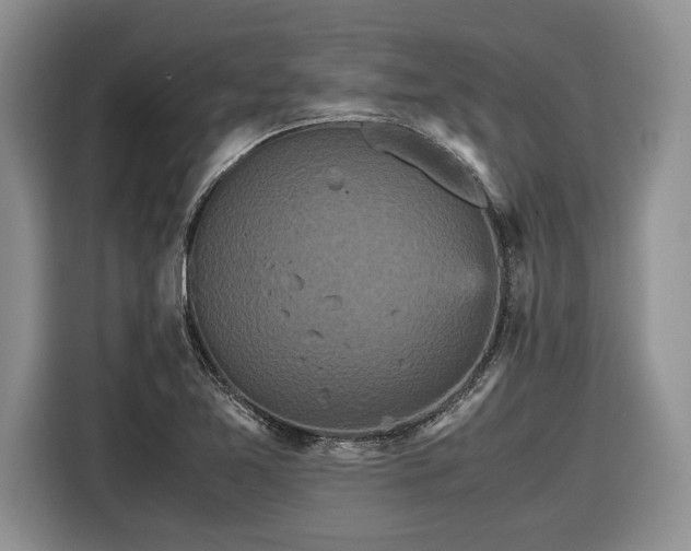 X0000116561365200912171401