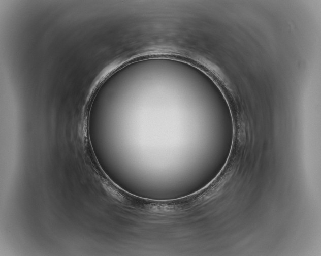 X0000116561366200912171401