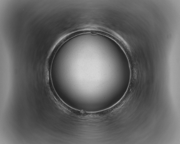 X0000116561368200912171401